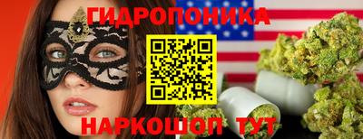 амф Гатчина