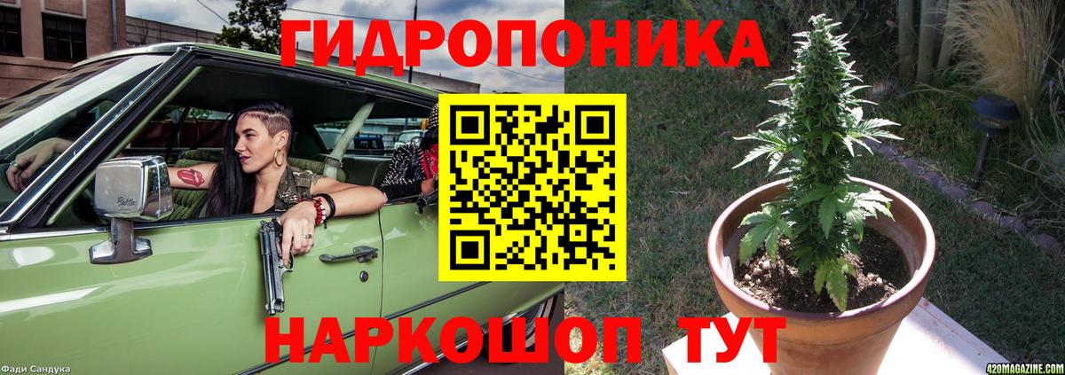 Конопля Bruce Banner Волжский